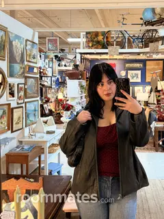 Roommate looking Bremerton, WA, $1100