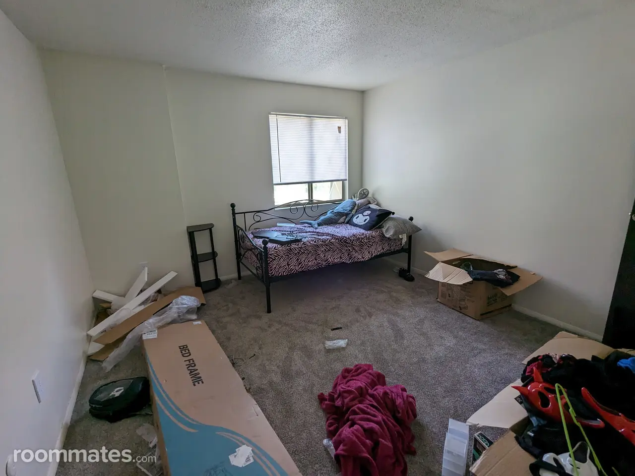 Profile photo 5 of 8