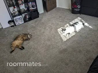 Room for rent in Middletown, OH $700, apartment