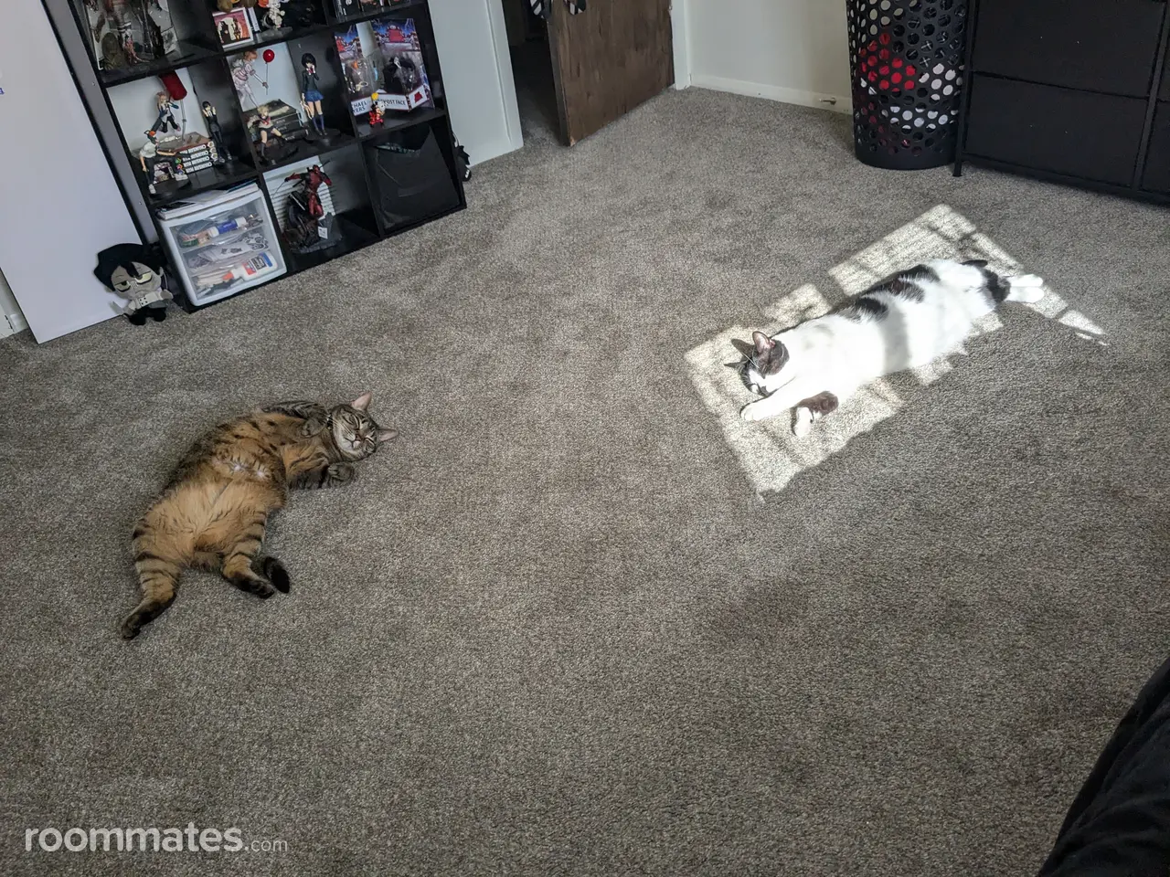 Profile photo 1 of 8