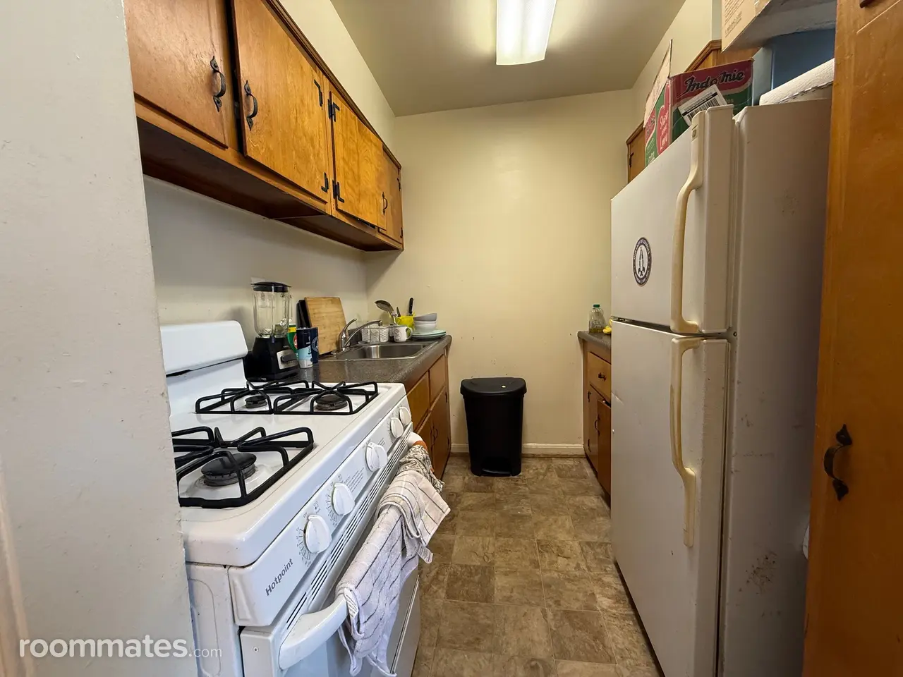 Profile photo 4 of 8