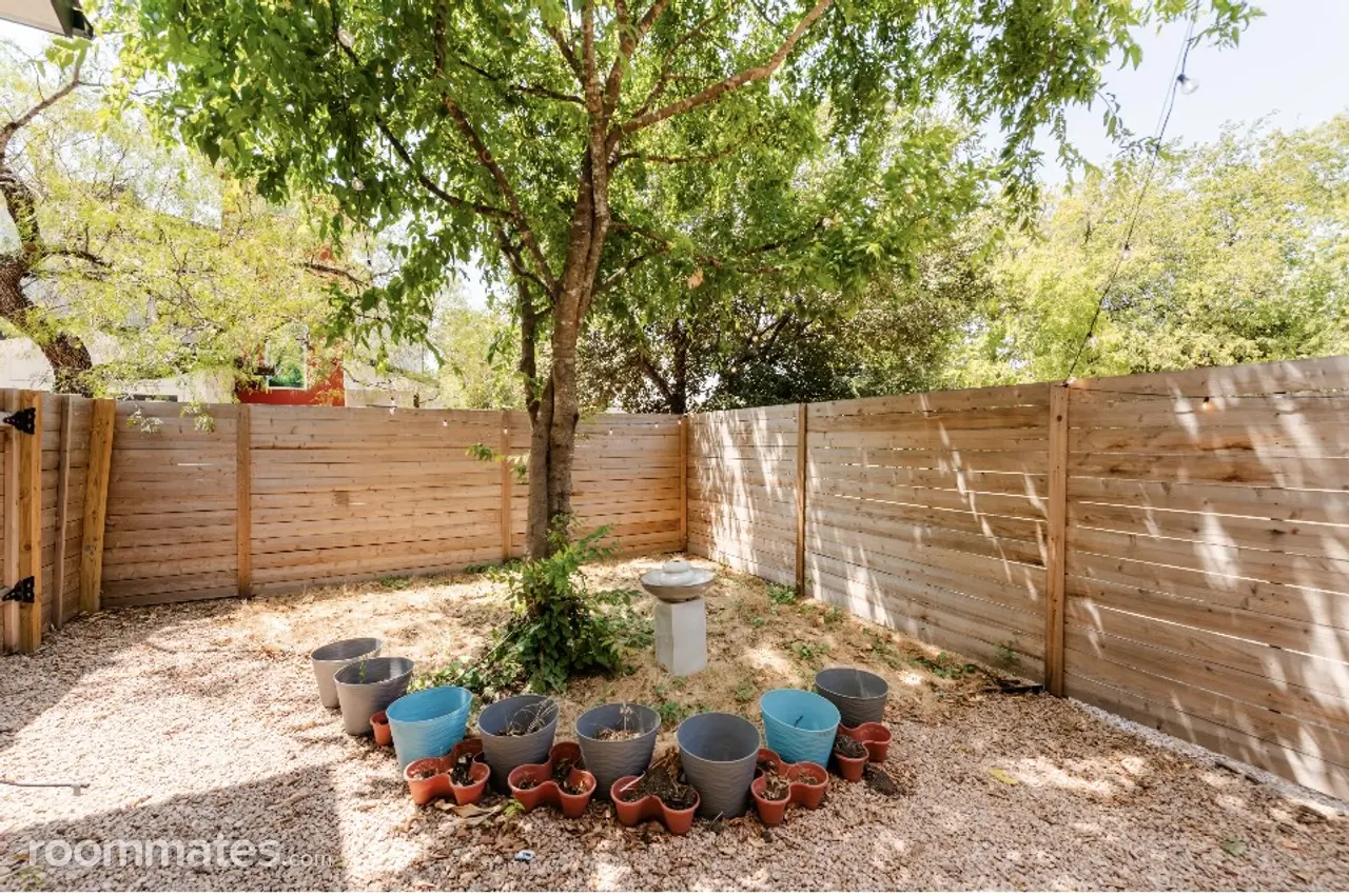 Profile photo 8 of 17