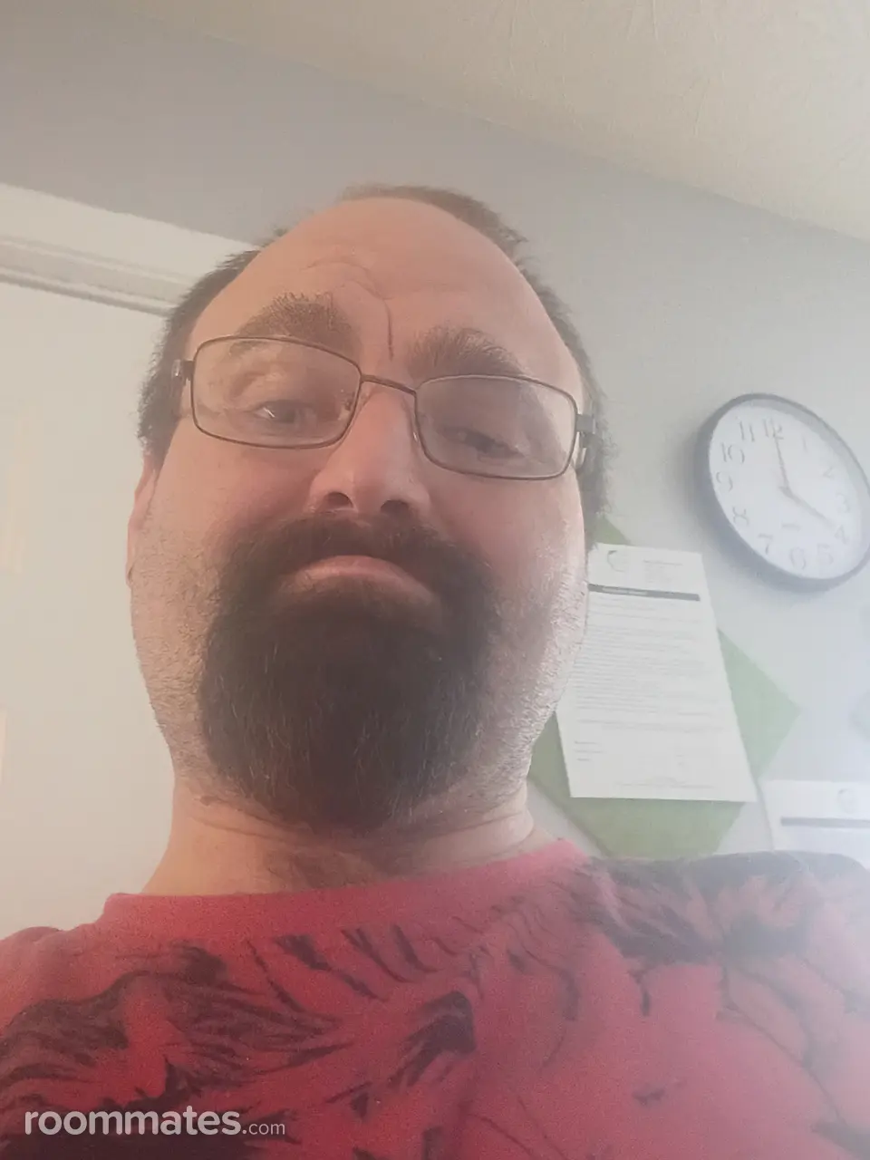 Profile photo 1 of 11