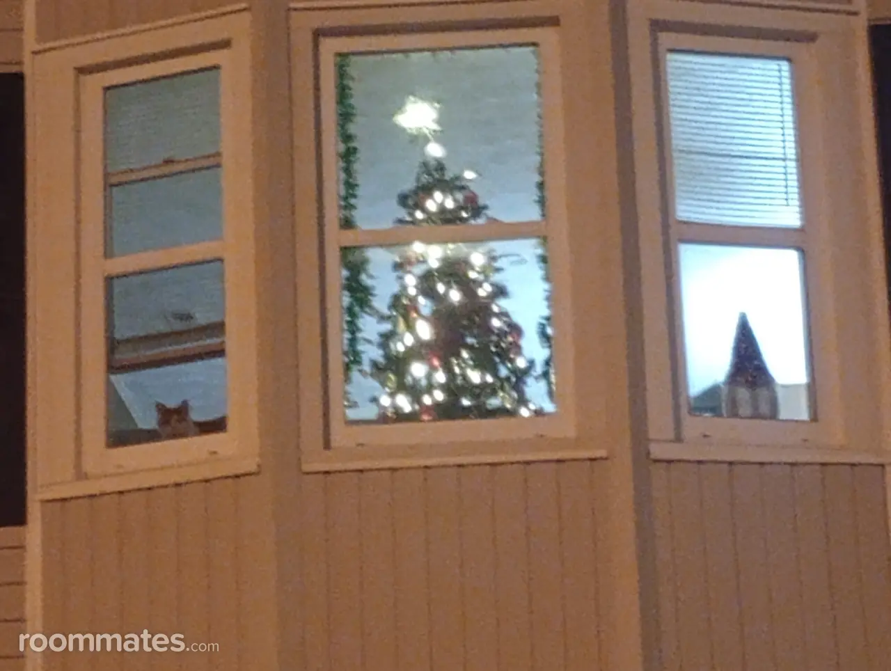 Profile photo 1 of 2