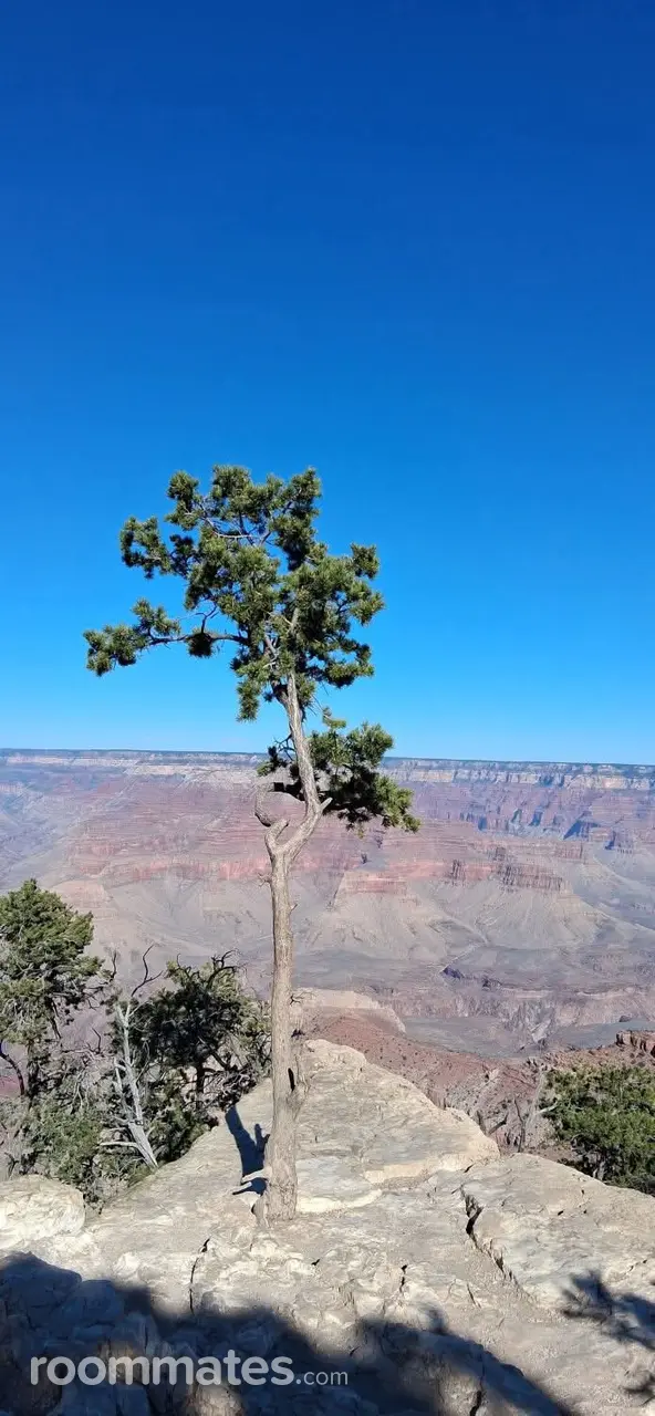 Profile photo 1 of 1