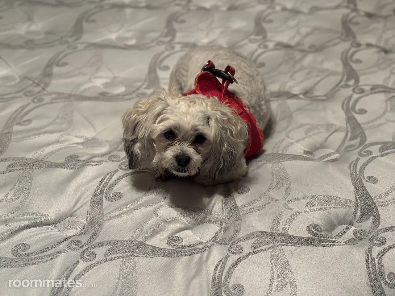 Profile photo 1 of 1