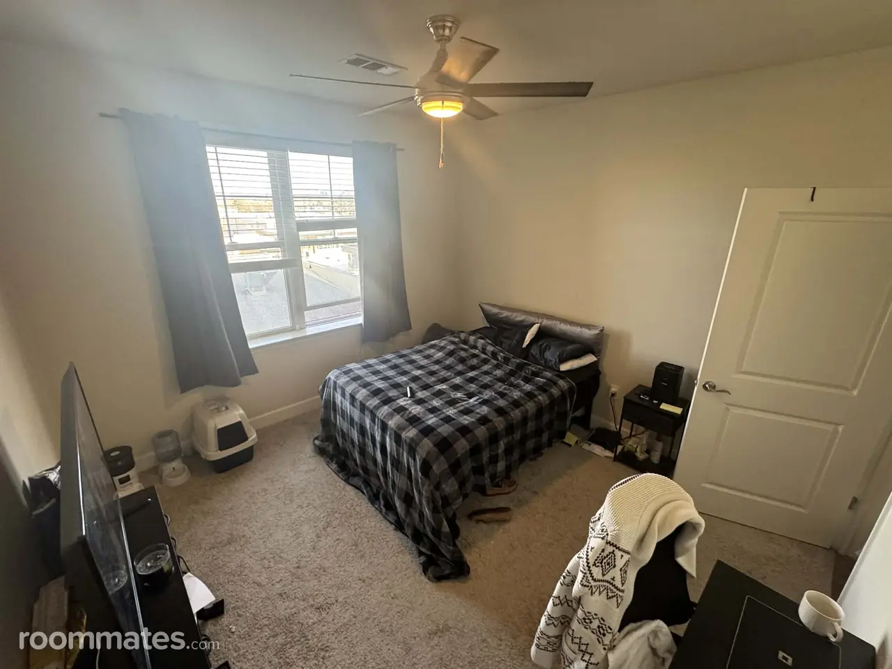 Profile photo 4 of 7