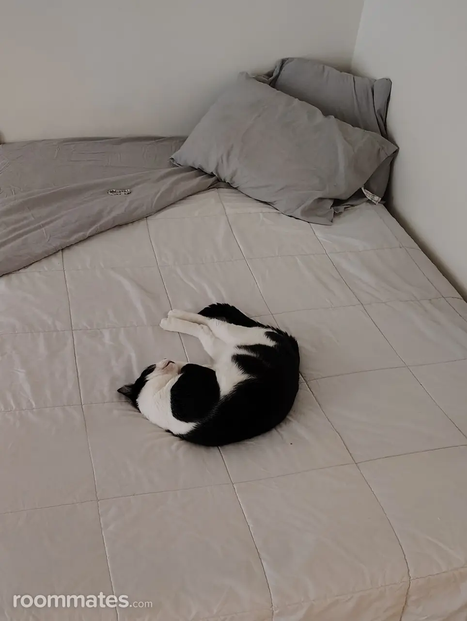 Profile photo 3 of 3