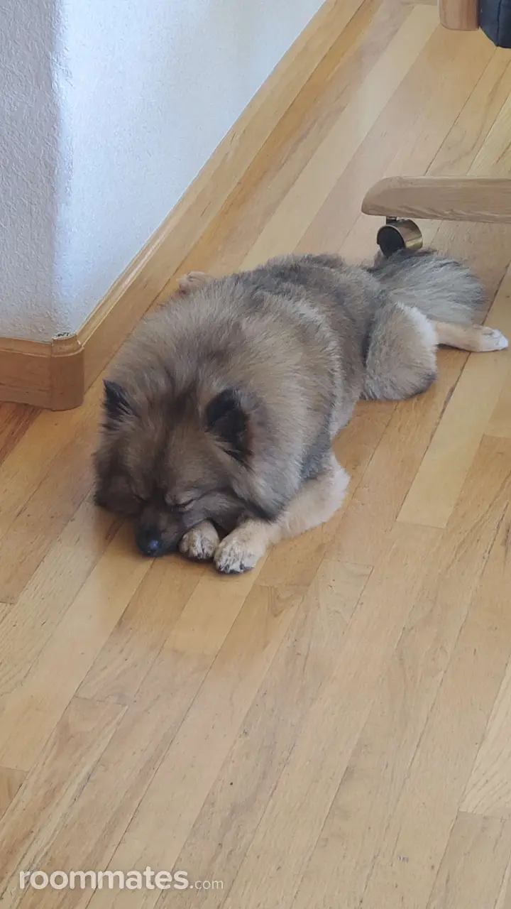 Profile photo 5 of 5