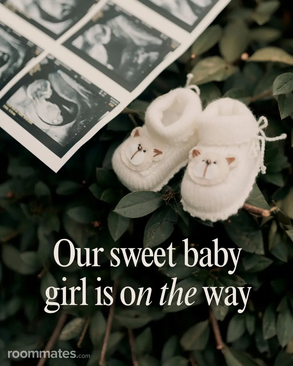 Profile photo 4 of 4