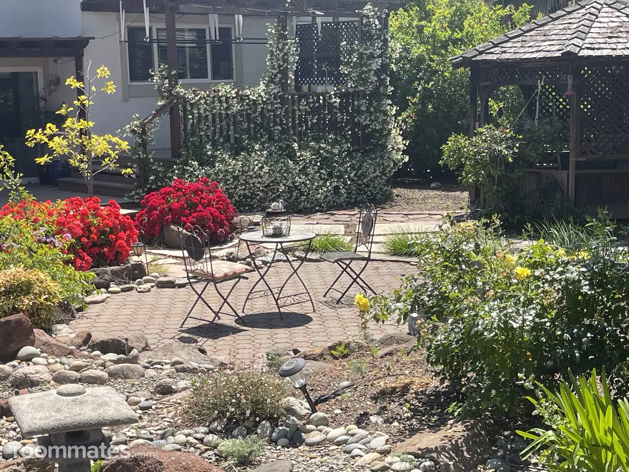 Profile photo 8 of 16