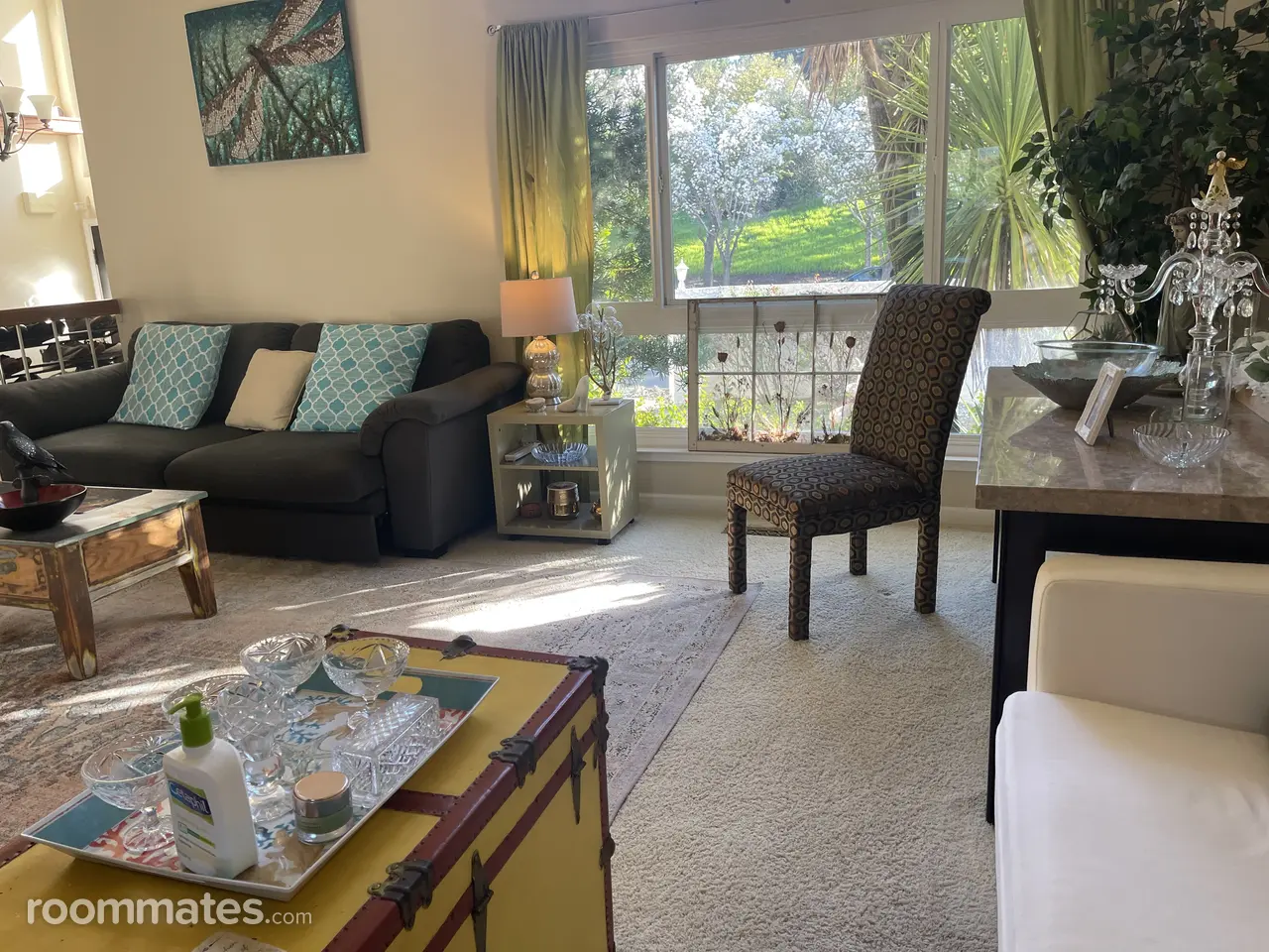 Profile photo 6 of 16