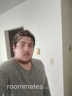 Roommate looking Indiana Township, PA, $800