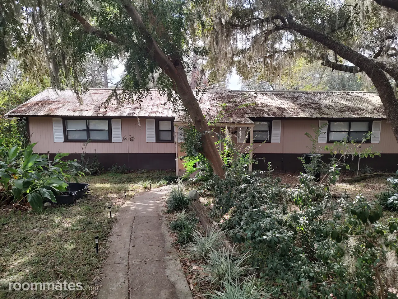 Profile photo 1 of 10