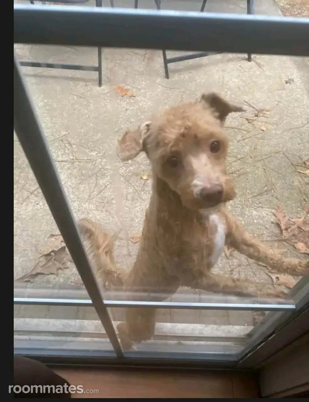 Profile photo 1 of 1