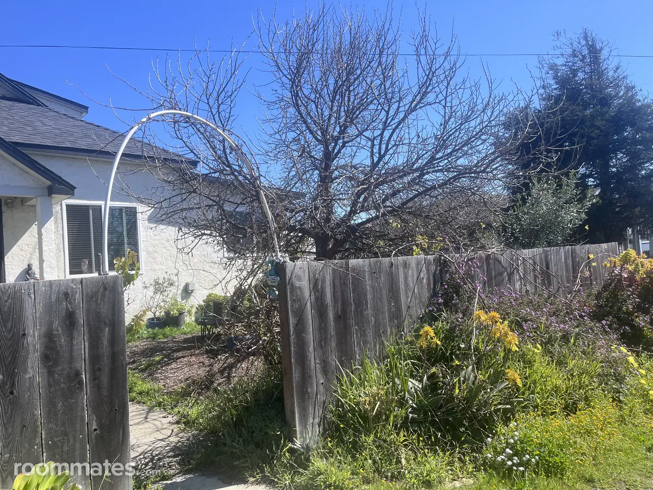 Profile photo 9 of 11