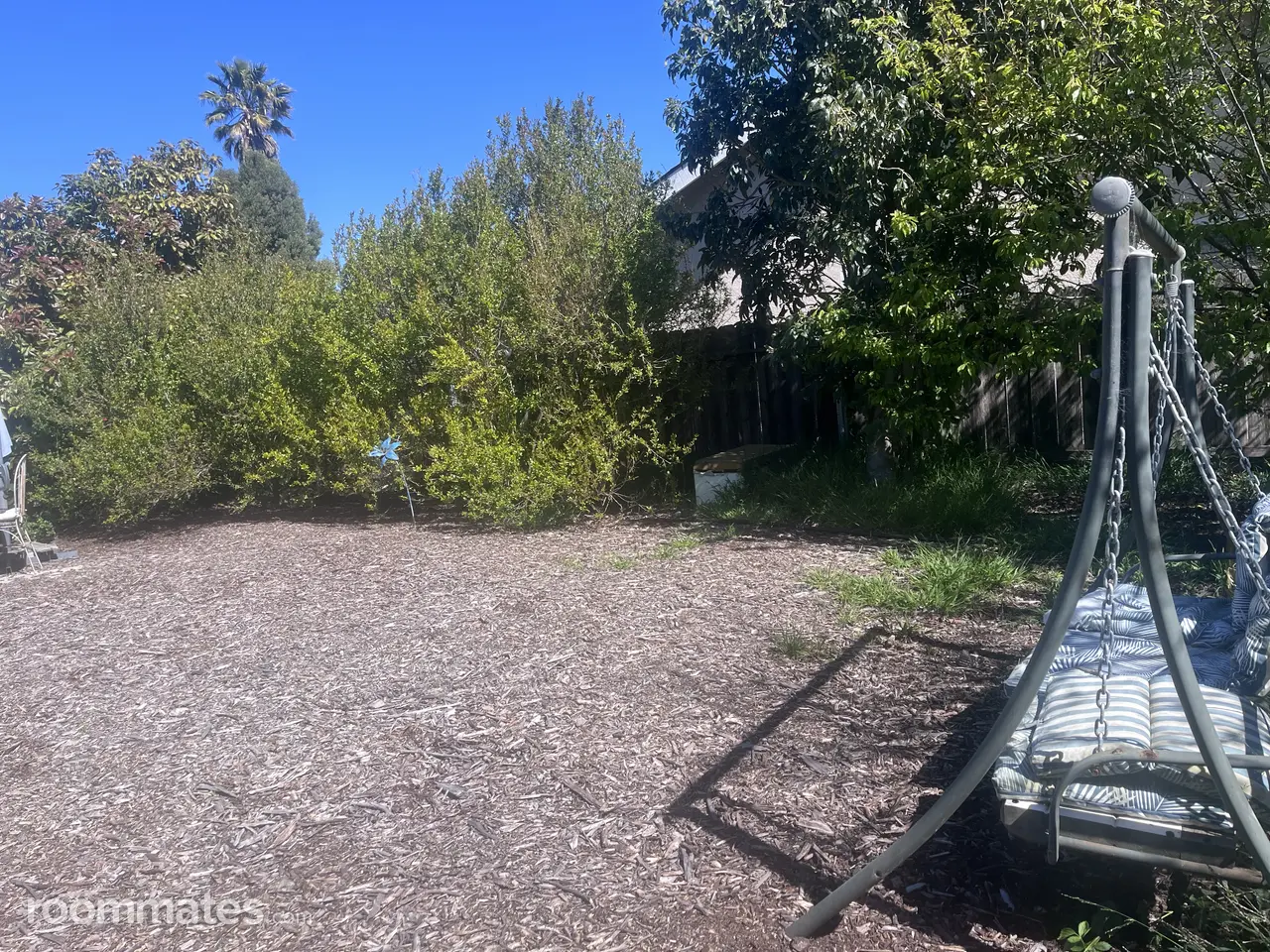 Profile photo 10 of 11