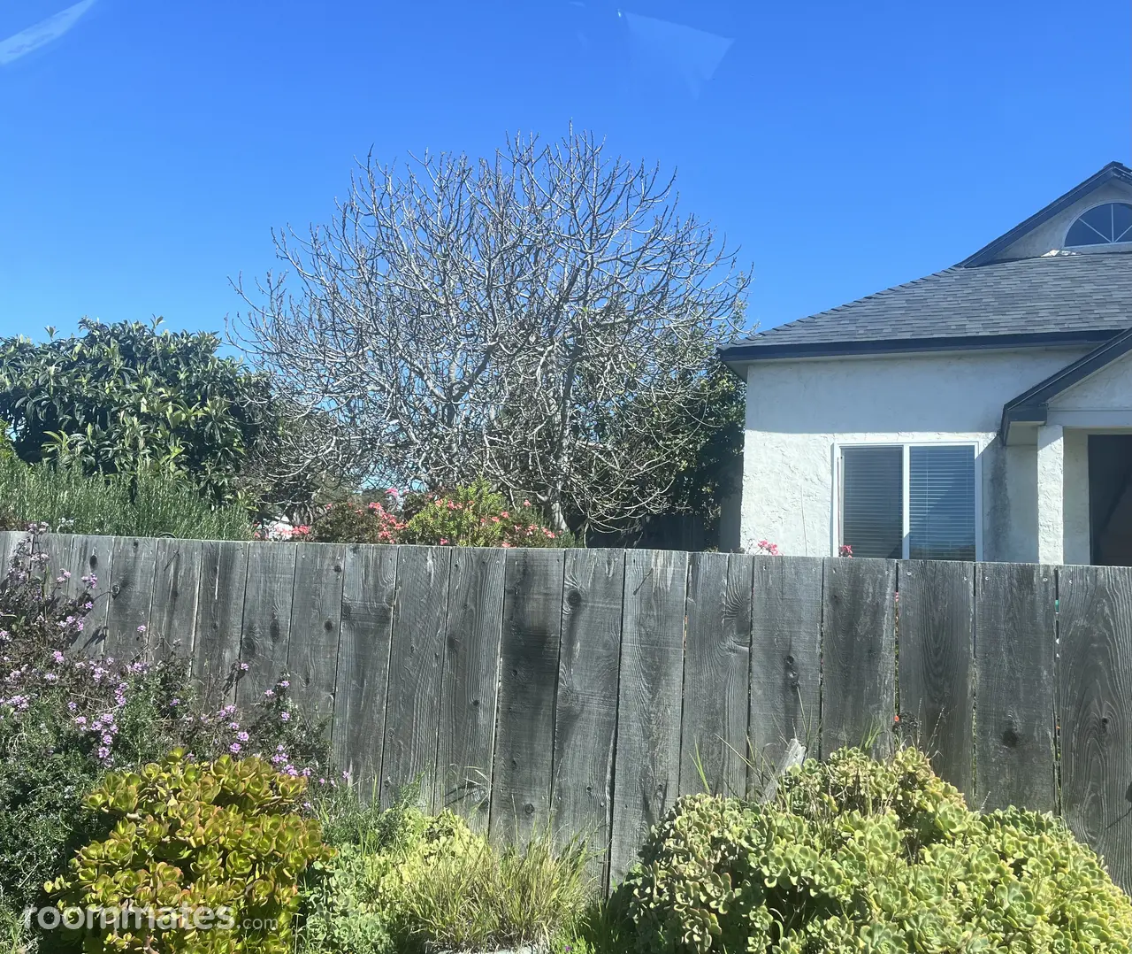 Profile photo 7 of 11