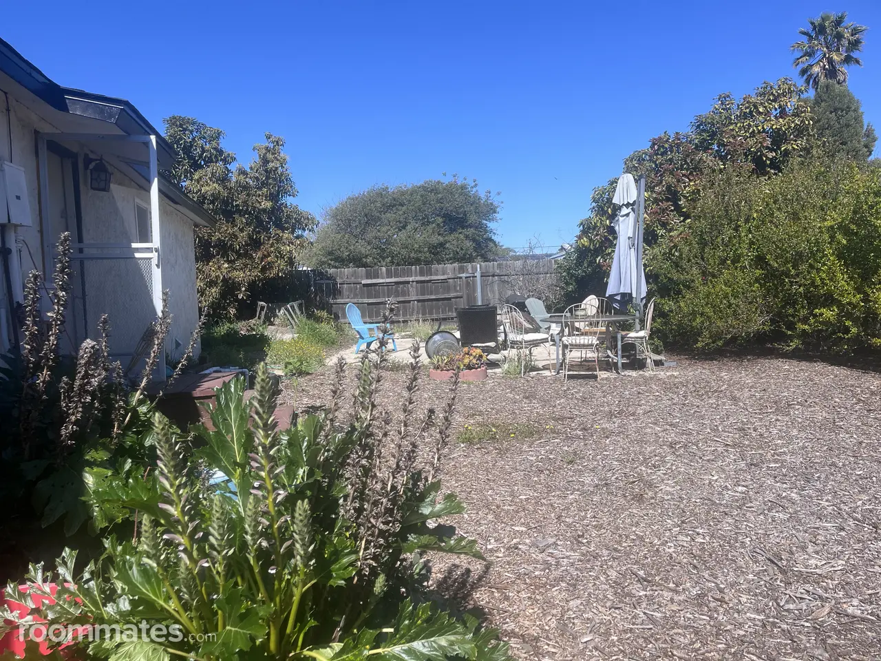 Profile photo 8 of 11