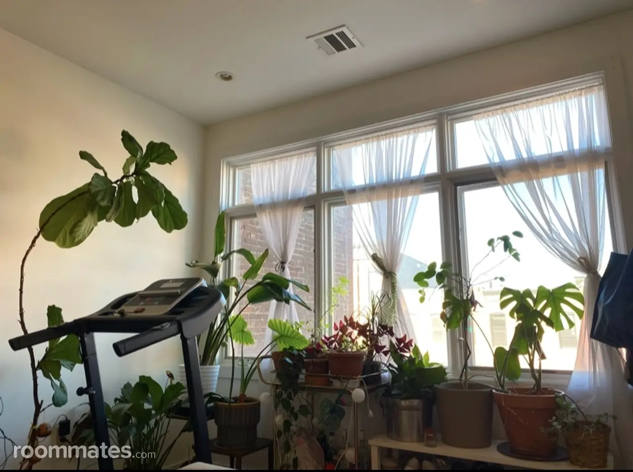 Profile photo 2 of 10