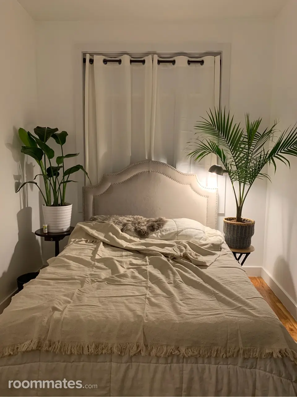 Profile photo 3 of 10