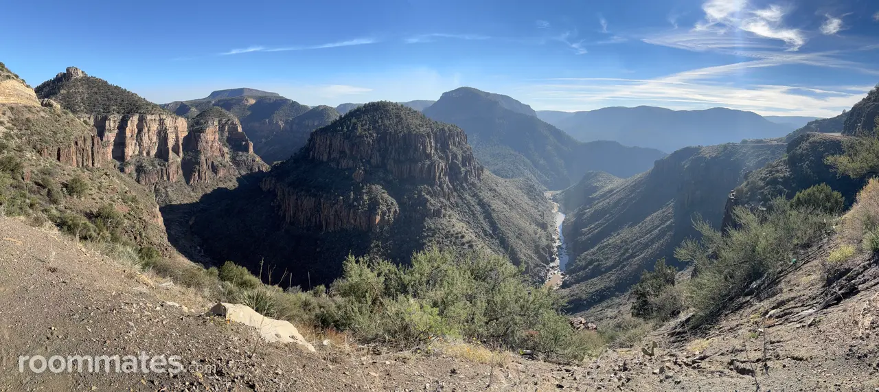 Profile photo 8 of 8