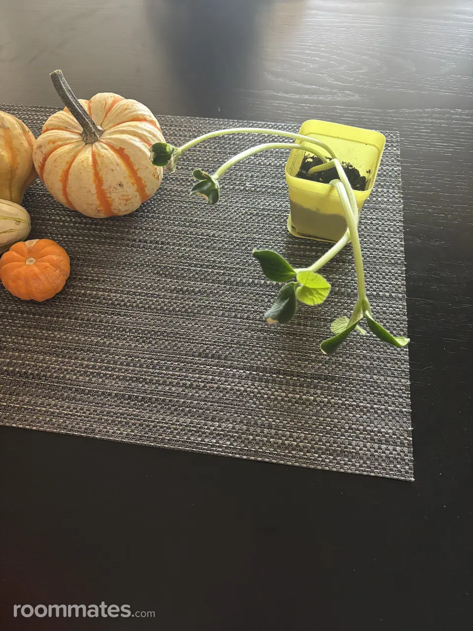 Profile photo 7 of 8