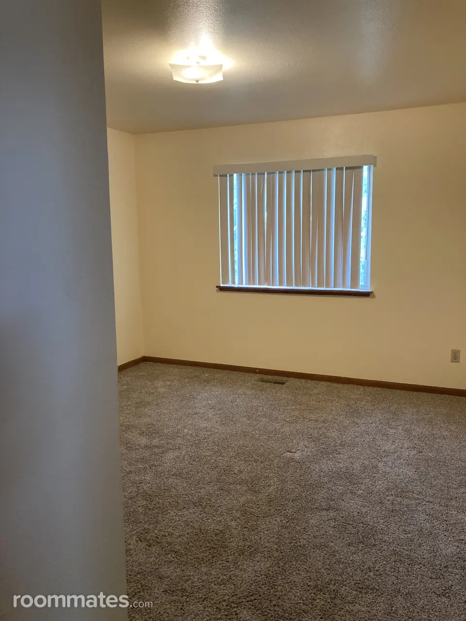 Profile photo 4 of 8