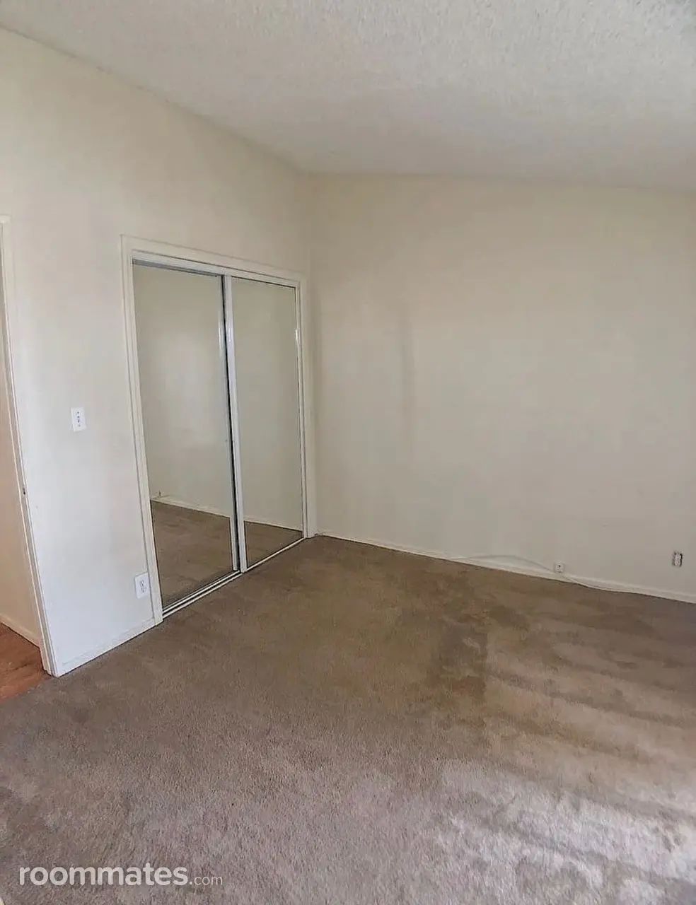 Profile photo 2 of 6