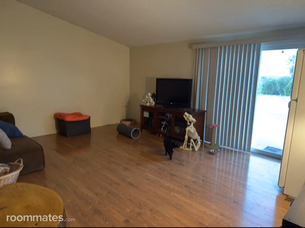 Profile photo 4 of 6