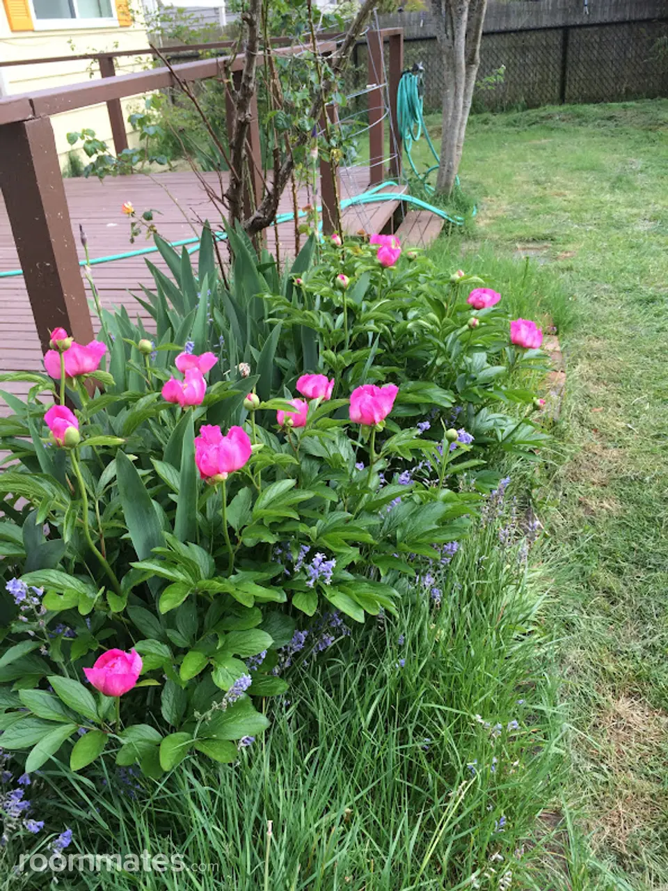 Profile photo 7 of 7