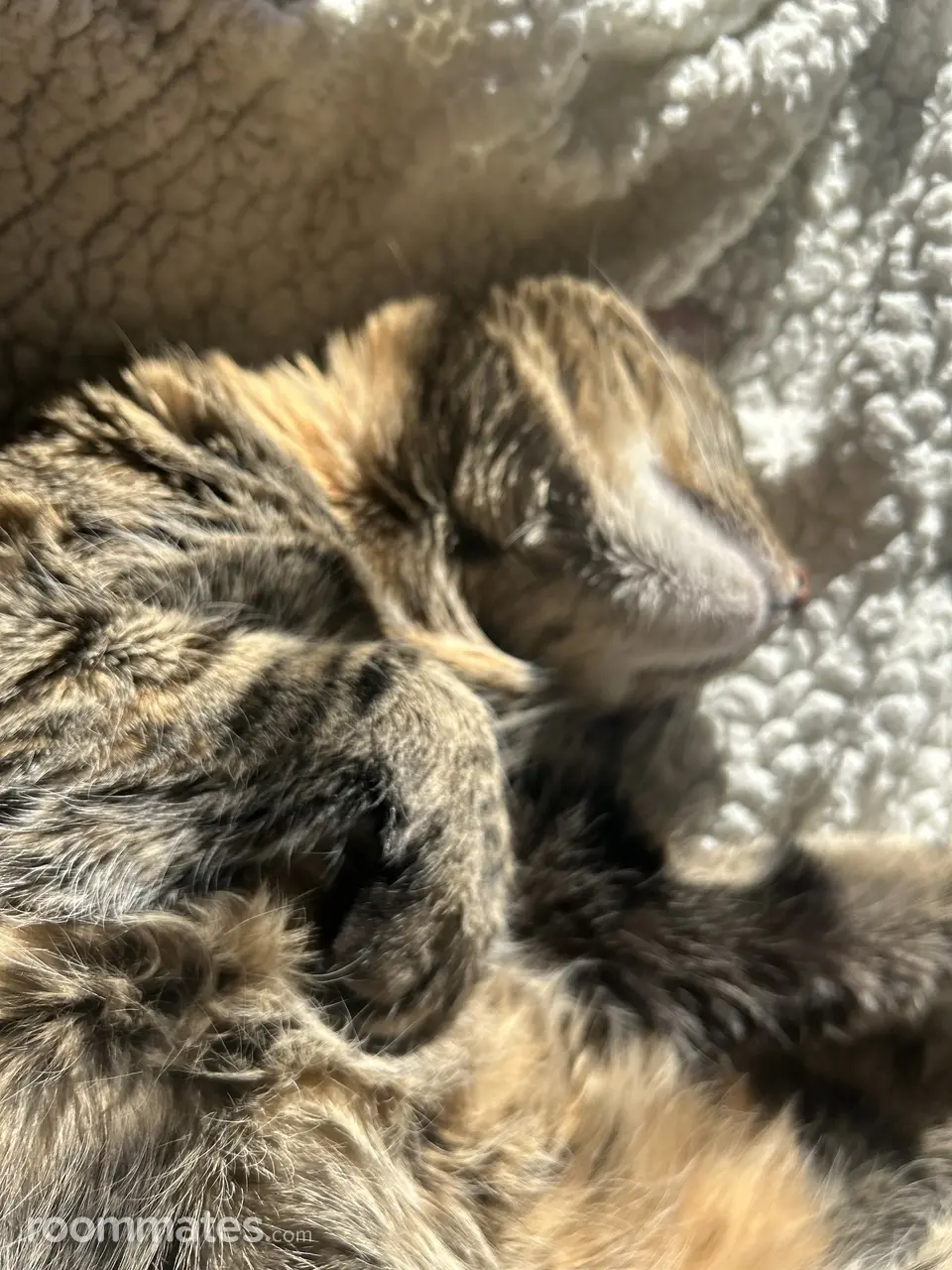 Profile photo 1 of 5