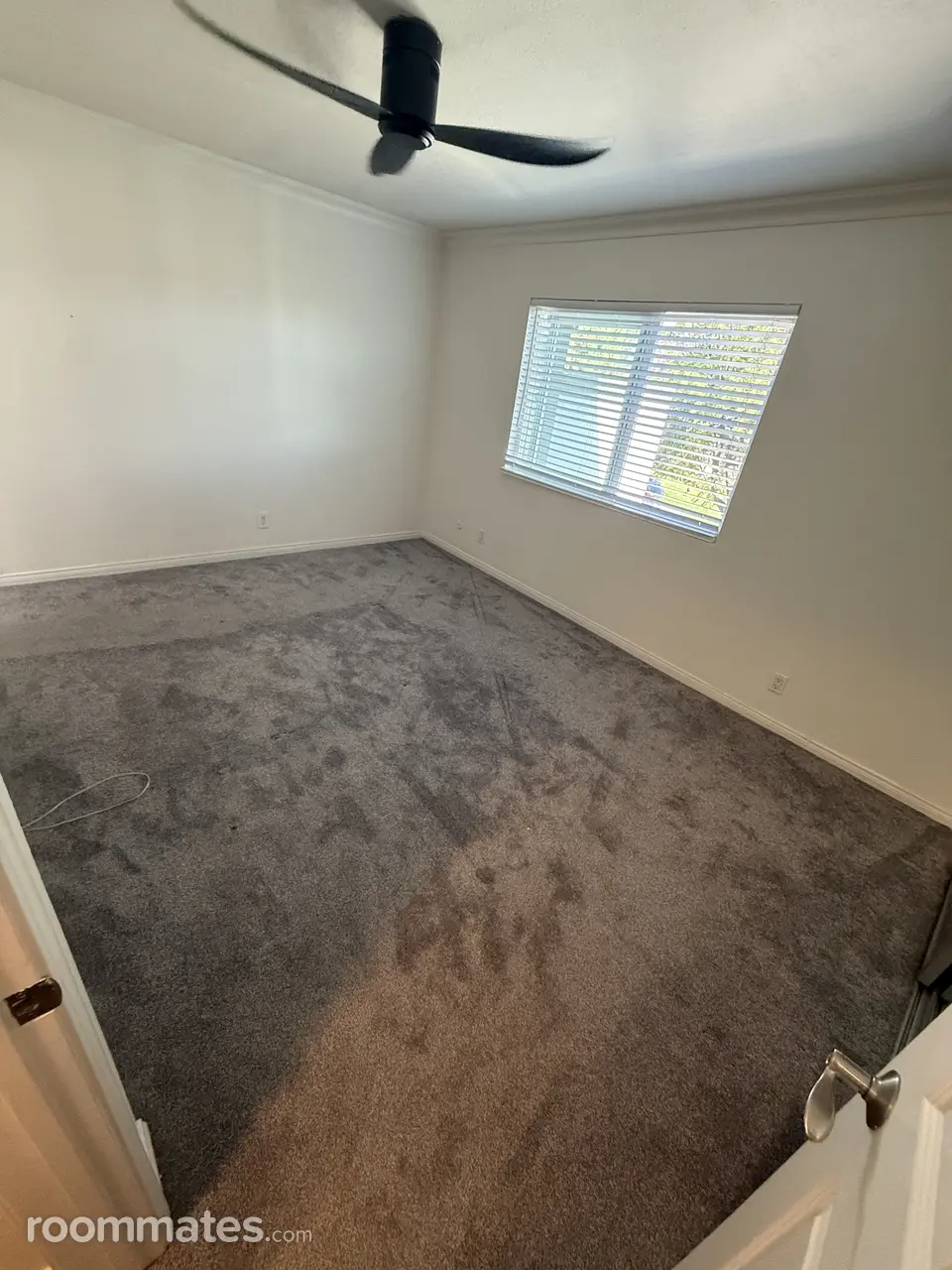 Profile photo 2 of 4