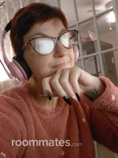 Roommate looking Lansdale, PA, $1000