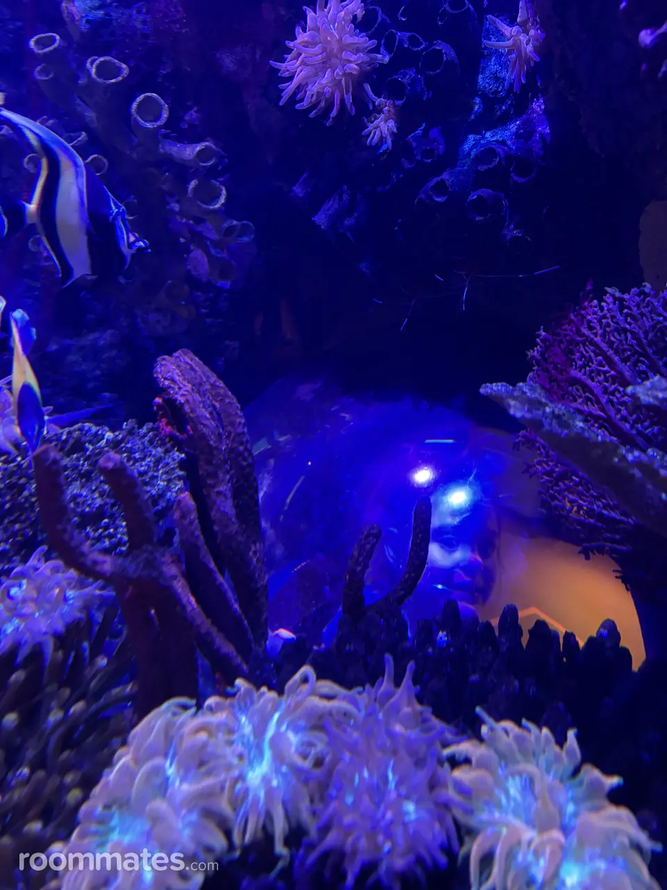 Profile photo 1 of 1