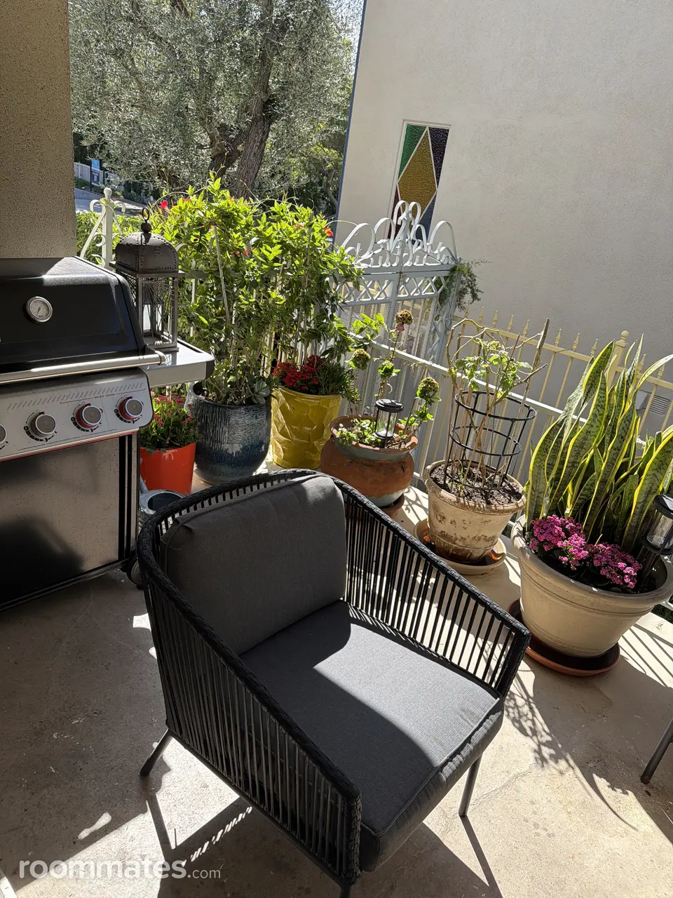 Profile photo 5 of 10