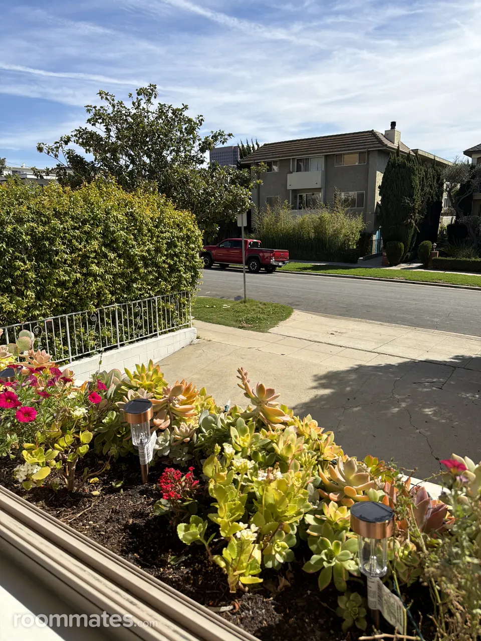 Profile photo 8 of 10