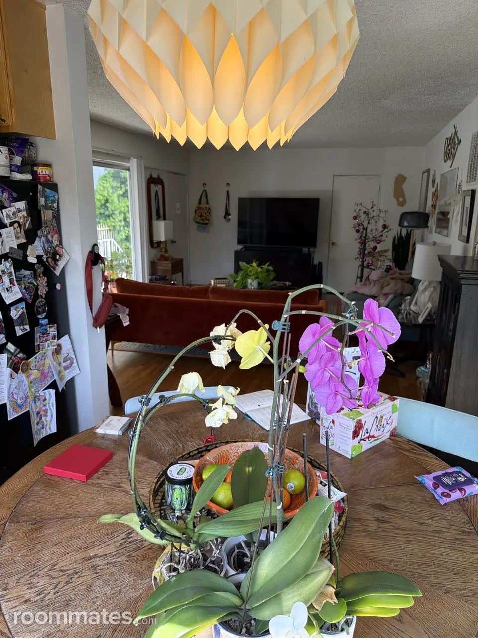 Profile photo 9 of 10