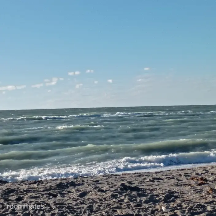 Roommate looking Riverview, FL, $1000
