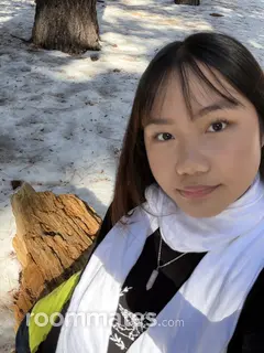 Roommate looking Lakewood, CA, $1000