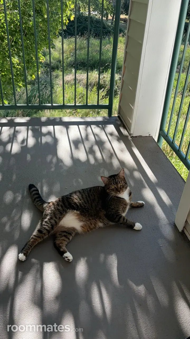 Profile photo 3 of 11