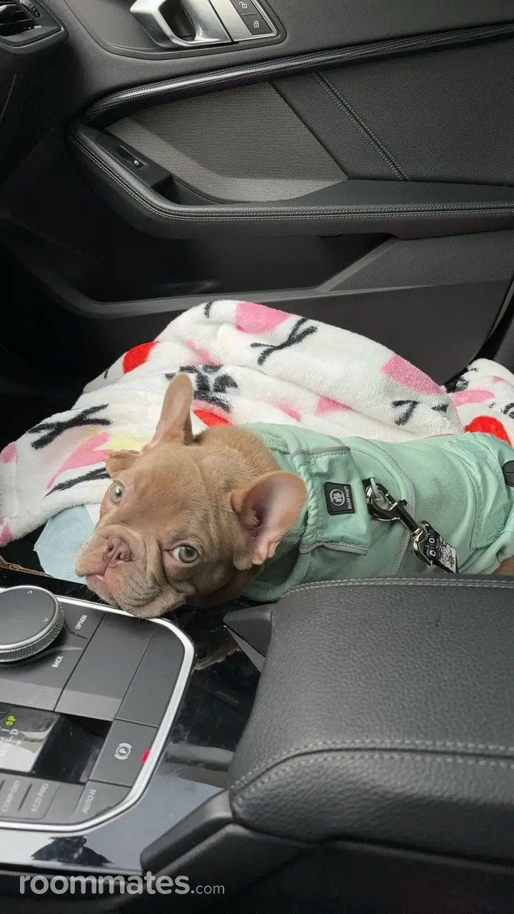 Profile photo 8 of 11