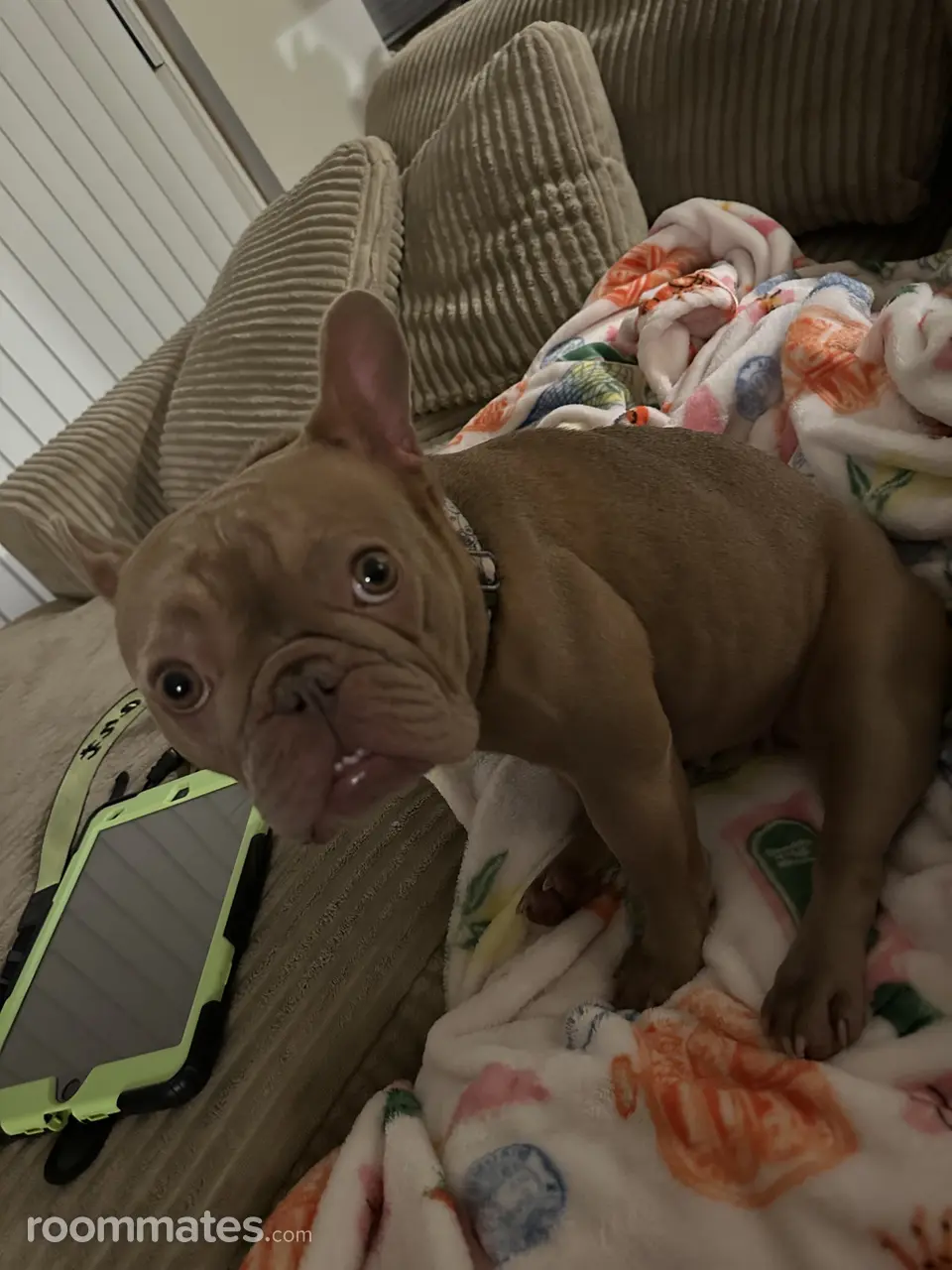 Profile photo 6 of 11