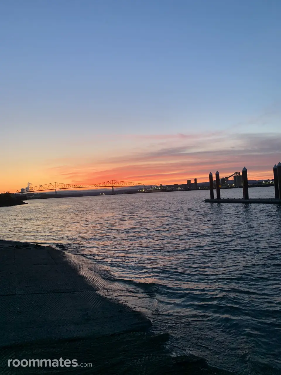 Profile photo 9 of 11