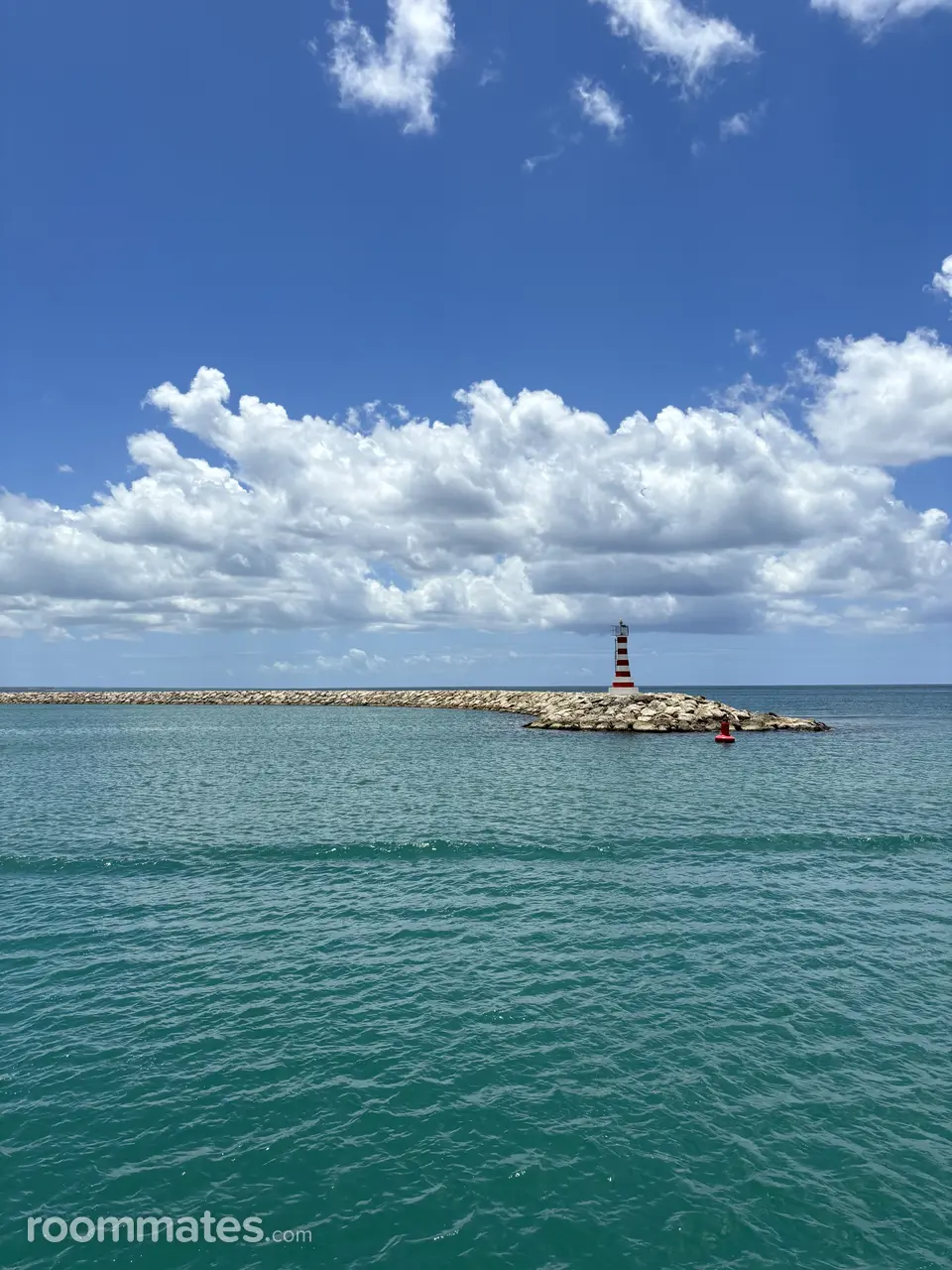 Profile photo 11 of 11