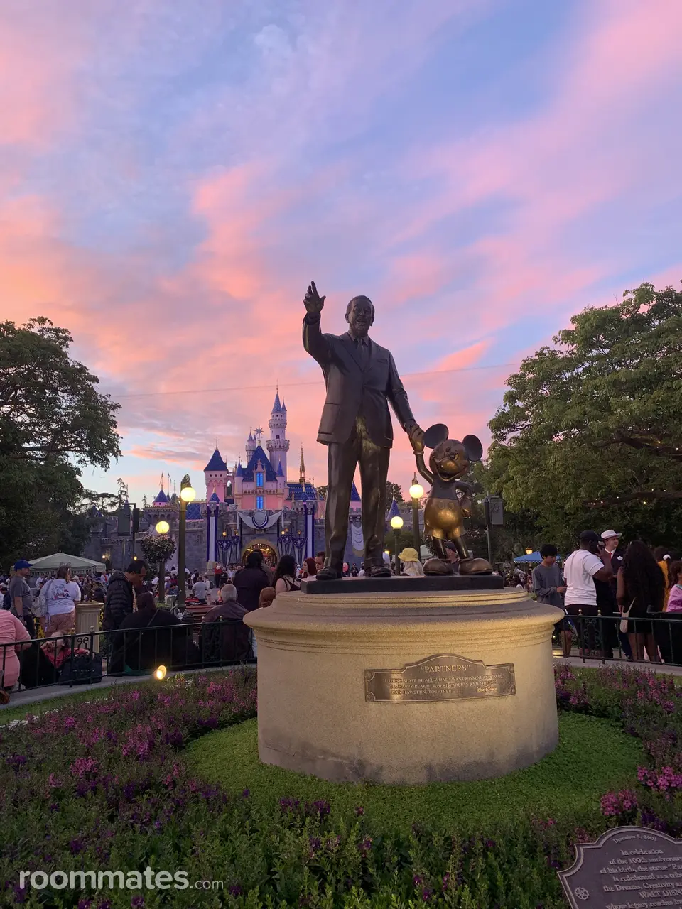 Profile photo 10 of 11