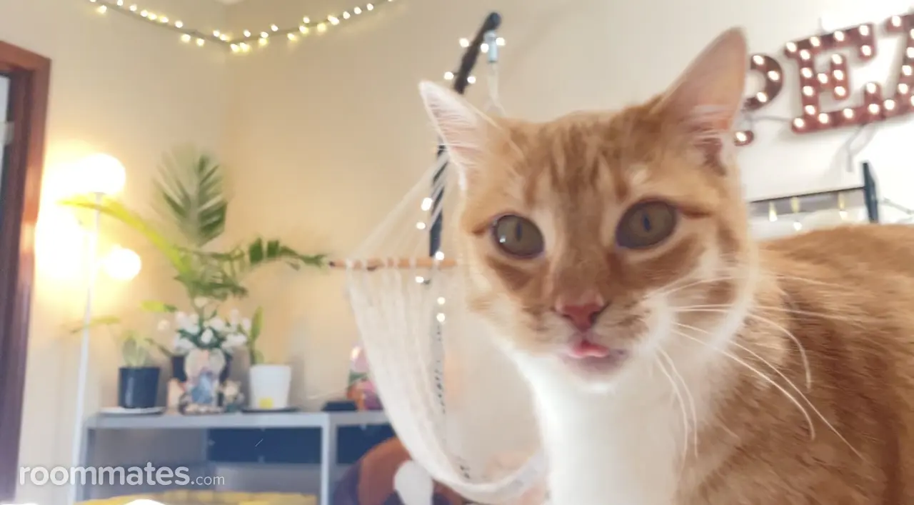 Profile photo 8 of 15