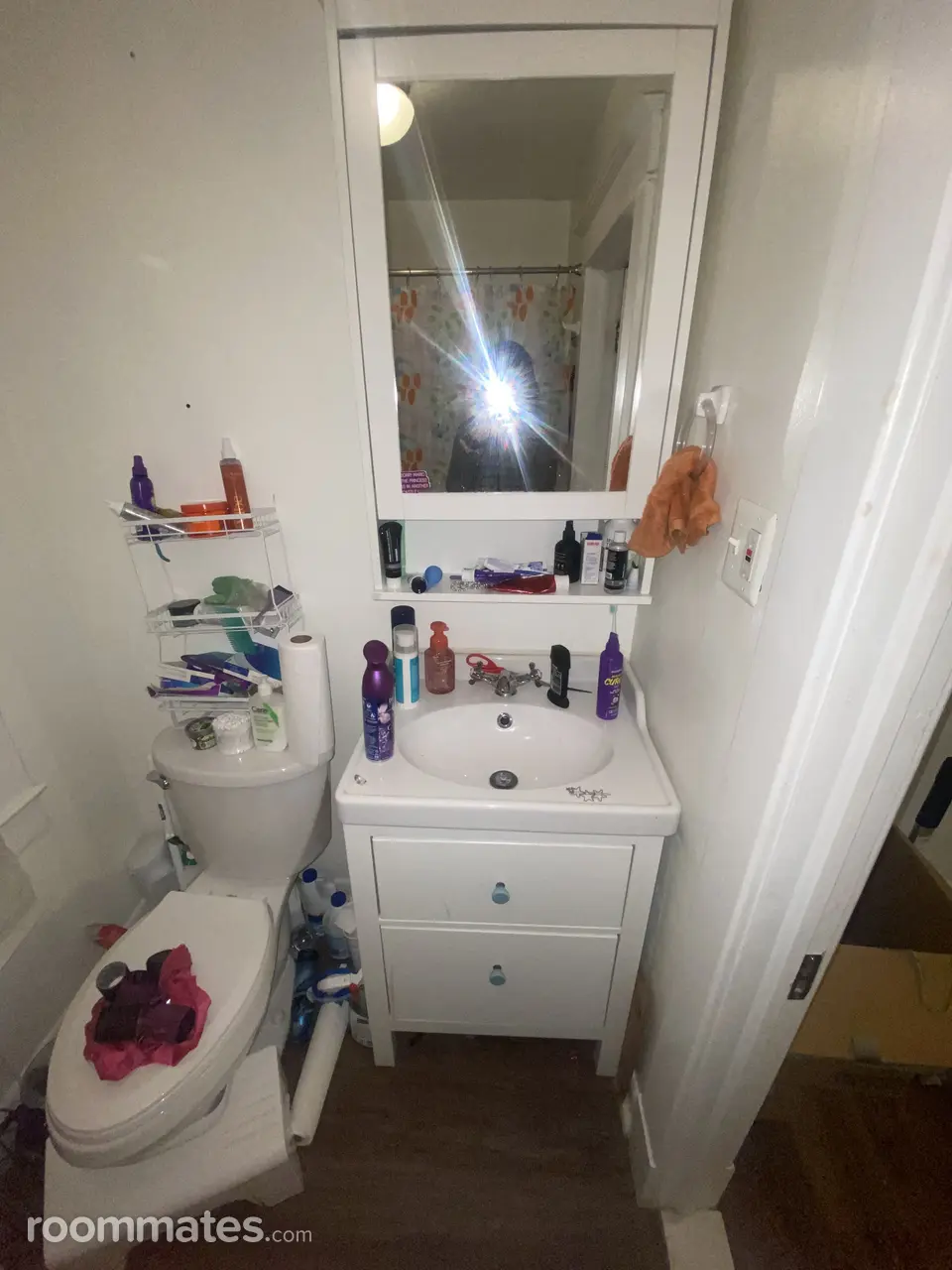 Profile photo 5 of 11