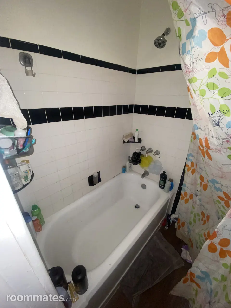 Profile photo 4 of 11