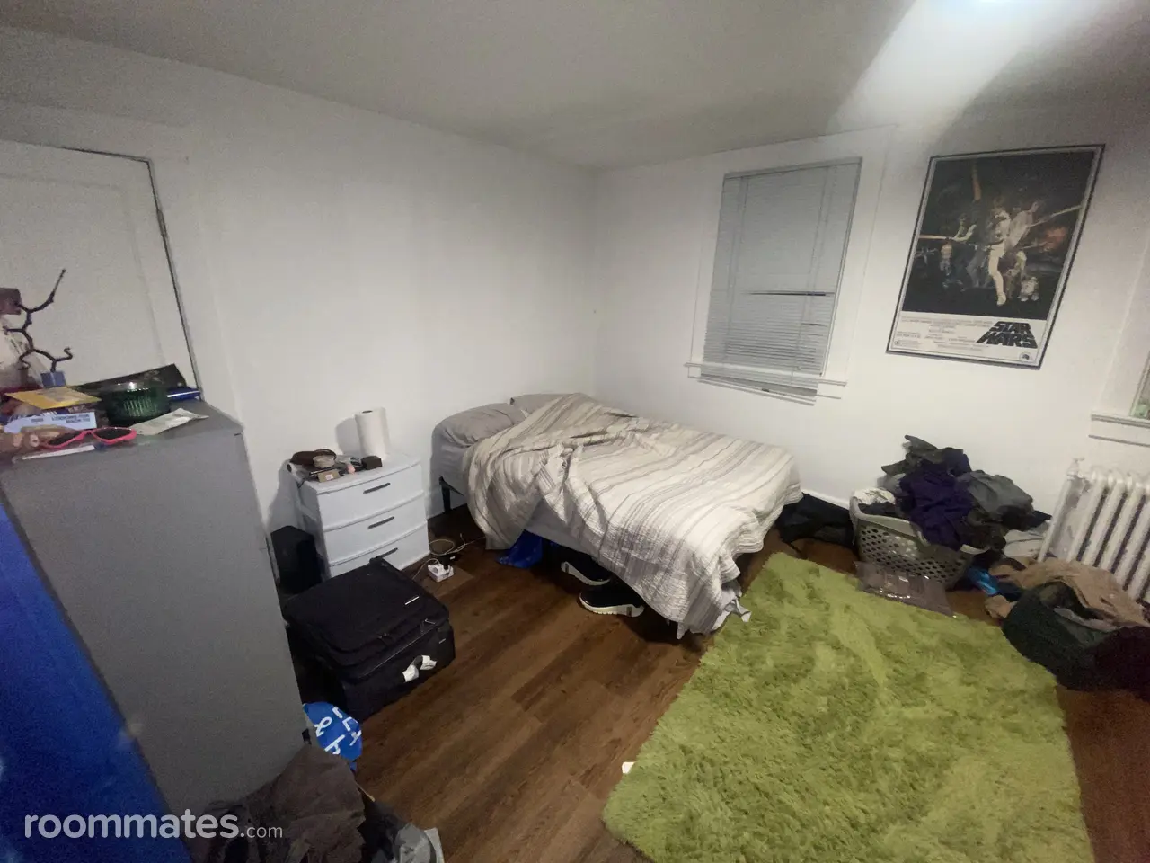 Profile photo 8 of 11